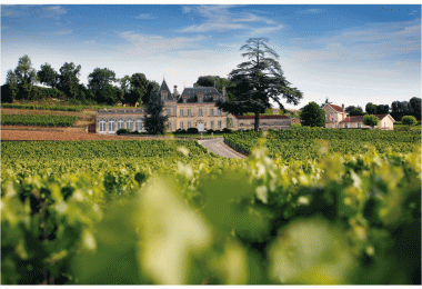 Château Fonplégade, St Emilion