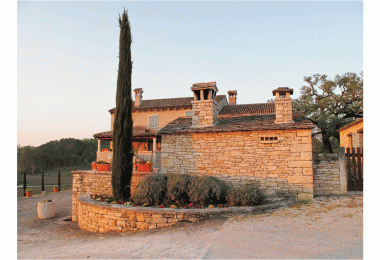 Kabola Winery works with amphorae.