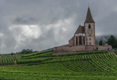 Lorraine vineyards