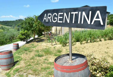 Where is Argentina's viticulture heading? (Photo: pincasso/stock.adobe.com)