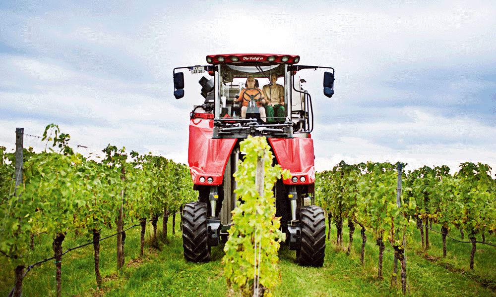 In some regions, mechanical harvesters brought in significantly lower yields than last year, and in many areas, machine harvesting wasn’t possible at all. (Photo: Deutsches Weininstitut, DWI)