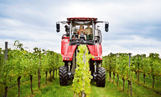 In some regions, mechanical harvesters brought in significantly lower yields than last year, and in many areas, machine harvesting wasn’t possible at all. (Photo: Deutsches Weininstitut, DWI)