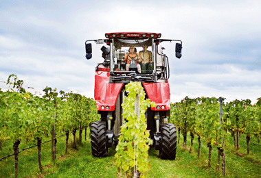 In some regions, mechanical harvesters brought in significantly lower yields than last year, and in many areas, machine harvesting wasn’t possible at all. (Photo: Deutsches Weininstitut, DWI)