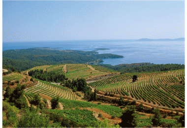 The Wine Roads of Northern Greece take in spectacular alpine roads, ancient monuments, top restaurants and unique wineries.