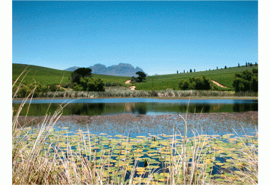 Devon Valley, South Africa