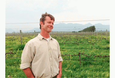 Johan Reyneke, Reyneke Wines