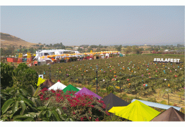 SulaFest