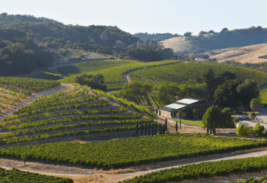 Vineyards in the Paso Robles region of California. (Photo: Chris Leschinsky)