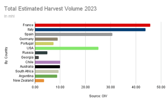 Global wine production has seen a marked decline in 2023 (Source: OIV)
