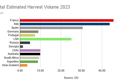 Global wine production has seen a marked decline in 2023 (Source: OIV)