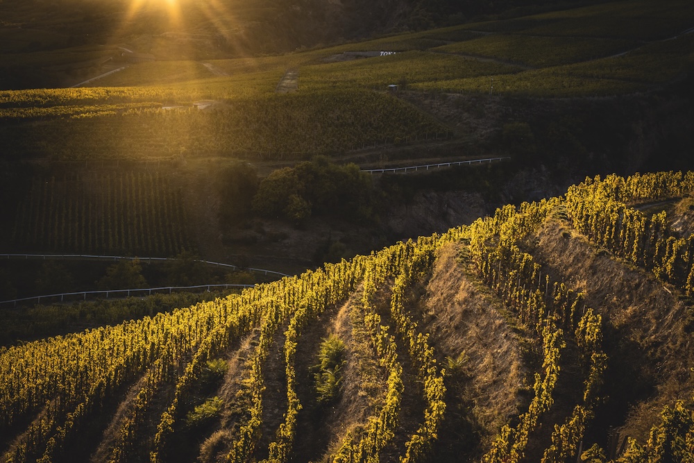 The picturesque vineyards of the famous Tokaj wine region have been a UNESCO World Heritage Site since 2002 for good reason. 