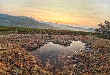 Hungary is a stunningly beautiful country that makes superb wines