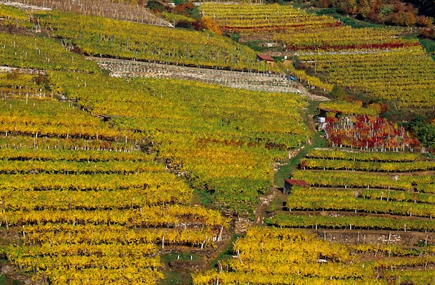Wachau in Lower Austria (Photo: Austrian Wine/Fotostudio Semrad)