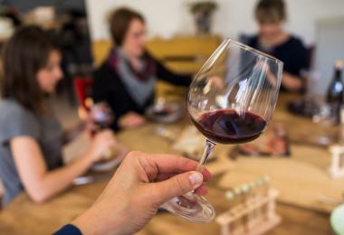 Wine degustation (Photo: Eléonore H/AdobeStock)