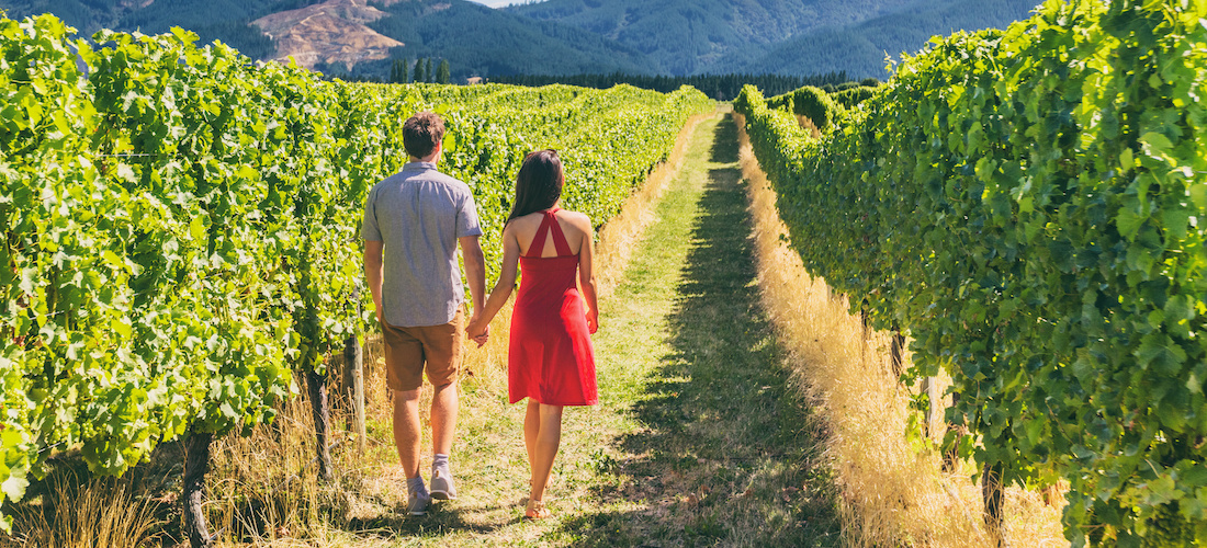 Succession in family wineries is not always easy (Photo: Maridav/stock.adobe.com)
