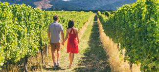 Succession in family wineries is not always easy (Photo: Maridav/stock.adobe.com)