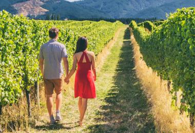 Succession in family wineries is not always easy (Photo: Maridav/stock.adobe.com)