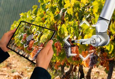 Smart farming concept (Photo: scharfsinn86/stock.adobe.com)