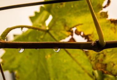 Unusual weather conditions (Photo: LHJ PHOTO/stock.adobe.com)