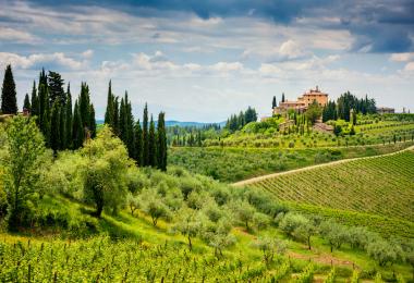 New sub zones in the Chianti region (Photo: Massimo Santi/stock.adobe.com)