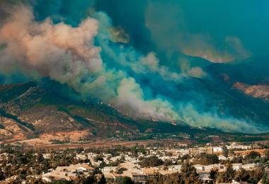 Bushfires have left great damage in recent years. (Photo: Scott/stock.adobe.com)