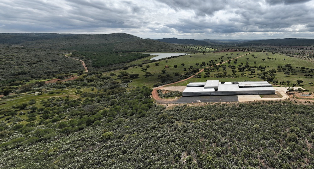 Casalobos Winery