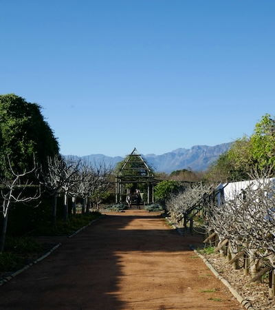 Bablonstoren (Photo: Anna Sullivan/unsplash)