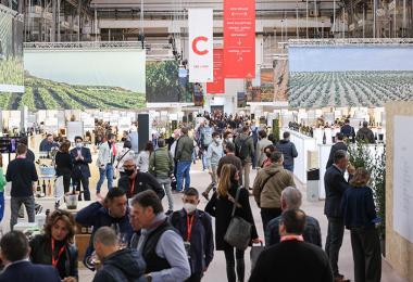 Barcelona Wine Week 2022