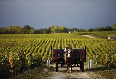 New Bordeaux meets the old ways