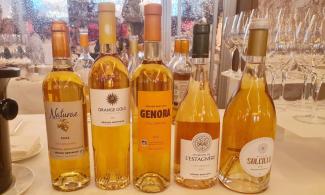 Gérard Betrand orange wine range