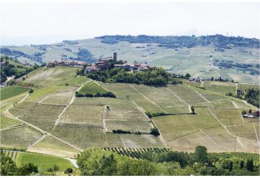 Brunate, one of Barolo’s top vineyards