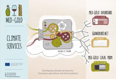 MED-GOLD initiative