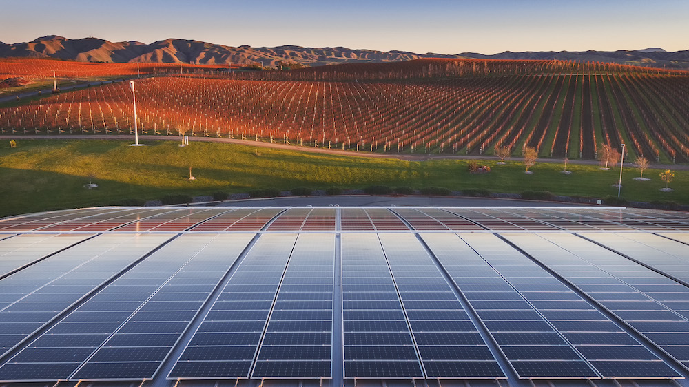 Solar panels in New Zealand vineyards (Photo: NZW Inc. Yealands Estate)
