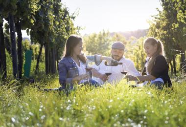 The Austrian art of wine. Down to earth (Photo: OeWM/Blickwerk Fotografie)