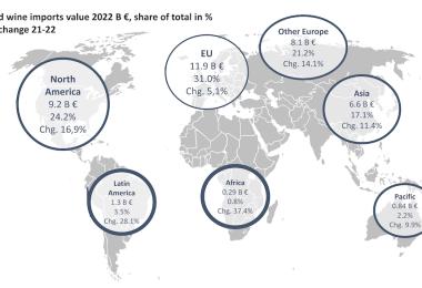 World wine imports value shares
