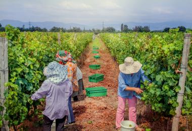 working people