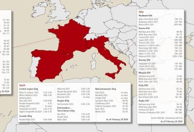 Sources: Ciatti Global Wine & Grape Brokers, own surveys, chambers of commerce, FranceAgriMer, Med.&A. and Osservatorio del Vino