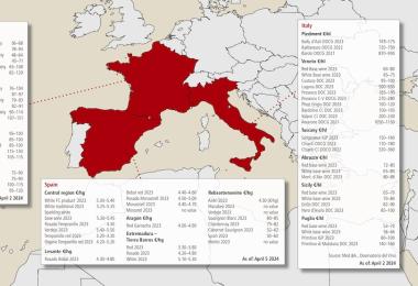 Sources: Ciatti Global Wine & Grape Brokers, own surveys, chambers of commerce, FranceAgriMer, Med.&A., and Osservatorio del Vino.