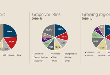Graphic: wine export, grape varieties, growing regions