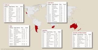 Source: Ciatti Global Wine & Grape Brokers, Global Market Update, export prices in €/hl (based on exchange rates as of 14.11.2023)
