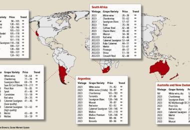 Source: Ciatti Global Wine & Grape Brokers, Global Market Update, export prices in €/hl