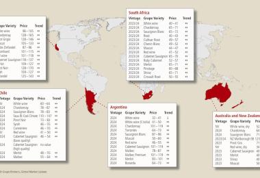 Source: Ciatti Global Wine & Grape Brokers, Global Market Update, export prices in euros per hectolitre based on exchange rates as of 15 October 2024