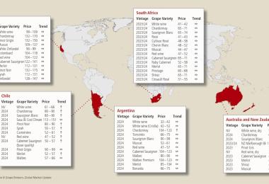 Source: Ciatti Global Wine & Grape Brokers, Global Market Update, export prices in €/hl