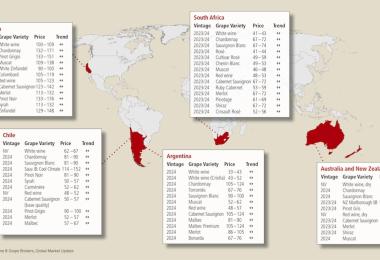 Source: Ciatti Global Wine & Grape Brokers, Global Market Update, export prices in €/hl