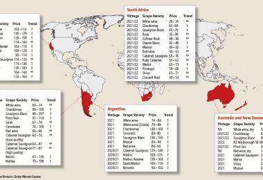 New world bulk wine prices (Source: Ciatti Global Wine & Grape Broker, Global Market Update, export prices in €/hl, exchange rate as of 18.08.2022)
