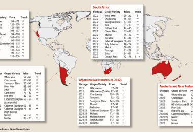 Source: Ciatti Global Wine & Grape Brokers, Global Market Update, Export prices in €/hl (exchange rate 16. March 2023)