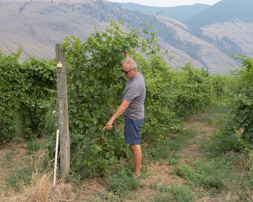 John Weber at Orofino (Photo: Michaela Morris)