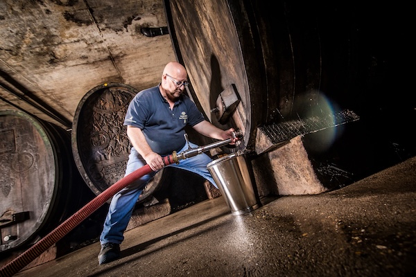 Thomas Münch, cellar master of Niederkirchen