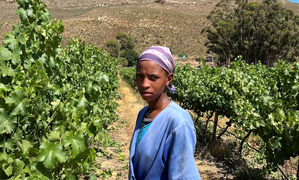 Workers in a South African vineyard (Photo: Finnwatch/ILRIG)