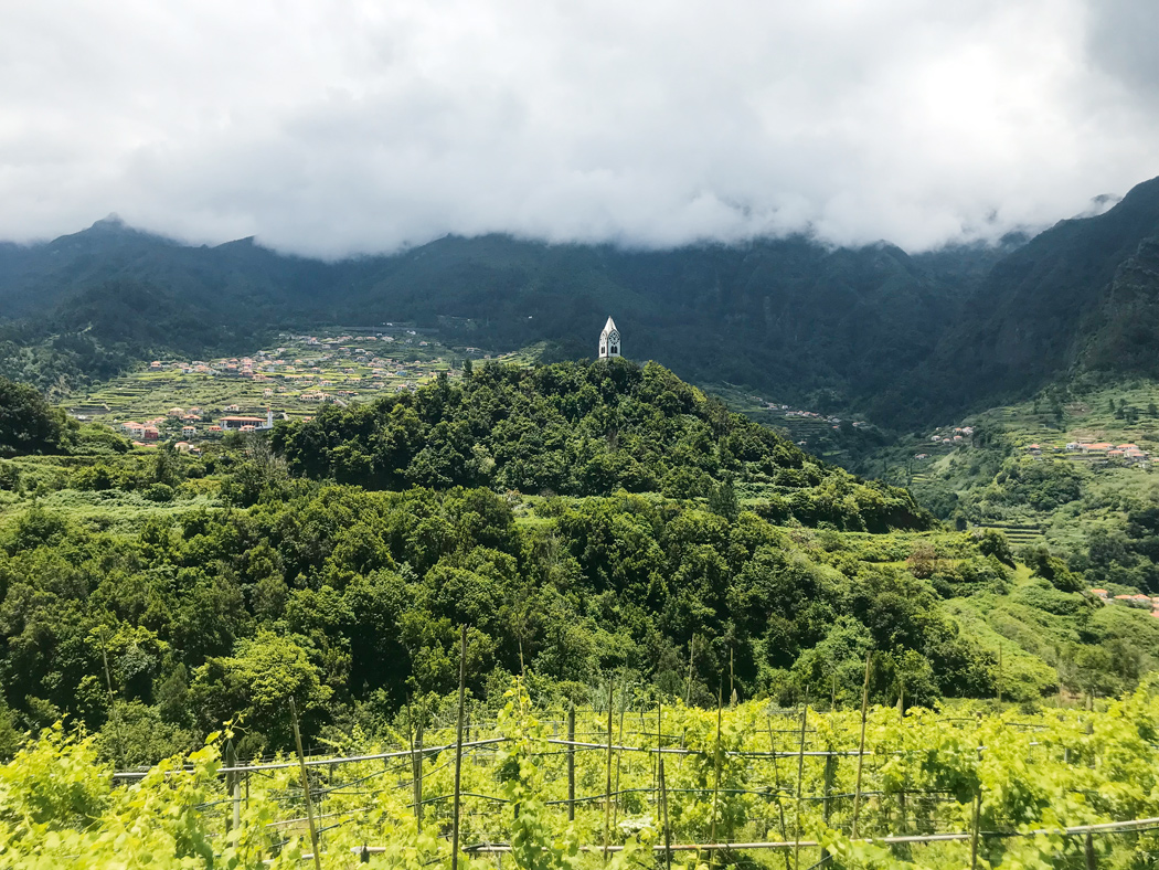 The view from the Madeira Institute Winery